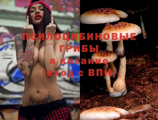 соль курить ск Арсеньев