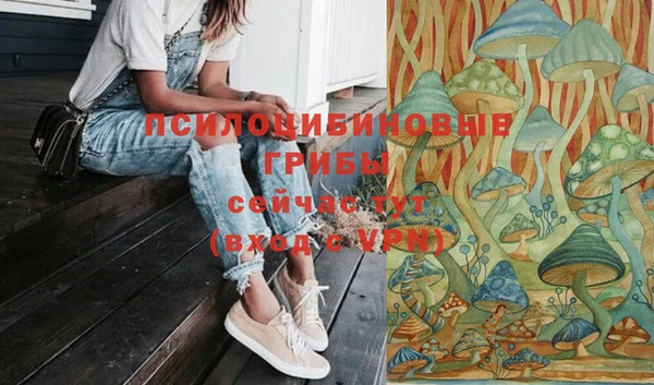 соль курить ск Арсеньев