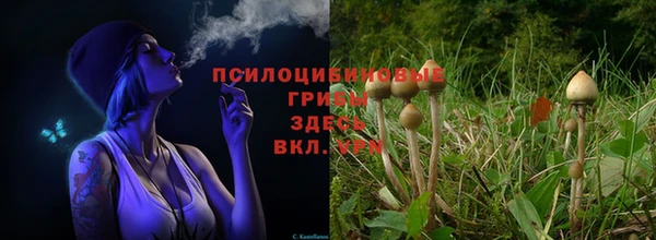 мяу мяу мука Армянск