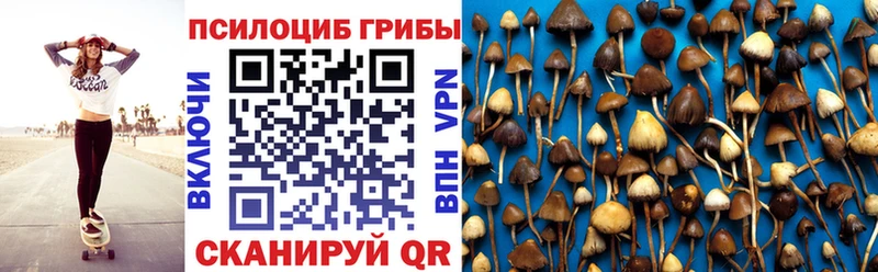 Псилоцибиновые грибы Psilocybe  Купить  Фрязино 
